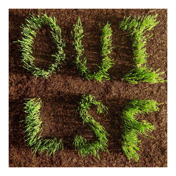 Les Savy Fav - OUI, LSF (Vinyl)