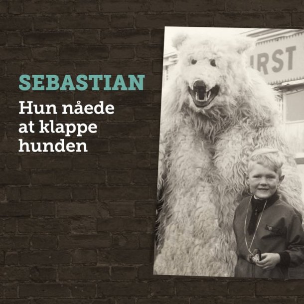 Sebastian - Hun Nede At Klappe Hunden