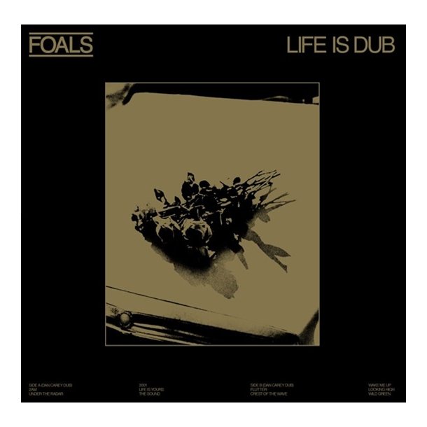 Foals - Life Is Yours (Life Is Dub) (Viynl) (RSD 2023)