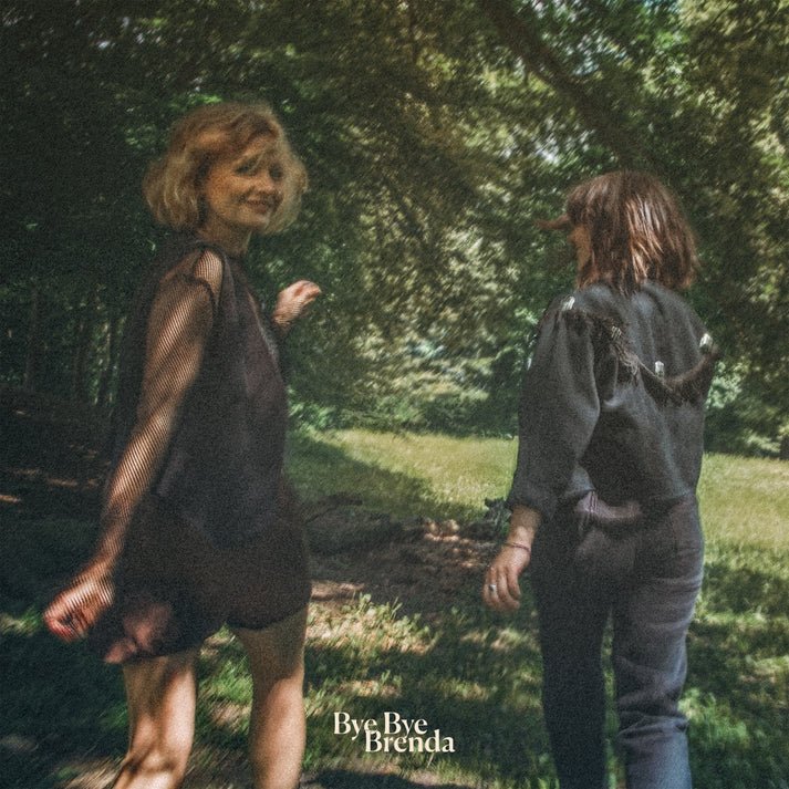 Bye Bye Brenda - Landmarks (VINYL)