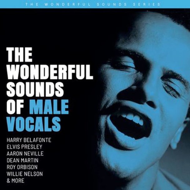 Diverse - The Wonderful Sounds Of Male Vocals (33 RPM)